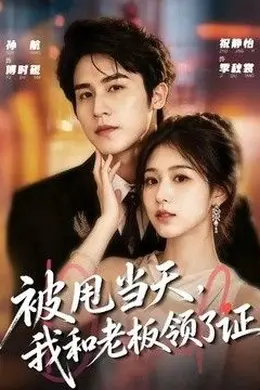被甩当天，我和老板领了证