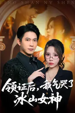 领证后，我气哭了冰山女神