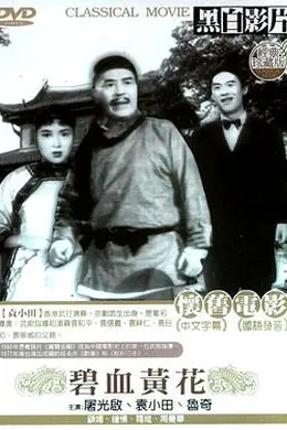 碧血黄花