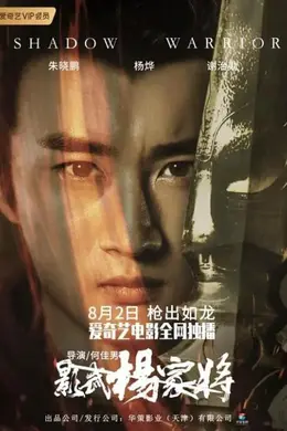 影武杨家将