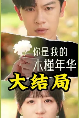 你是我的木槿年华