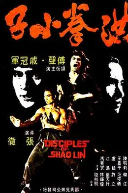 洪拳小子粤语