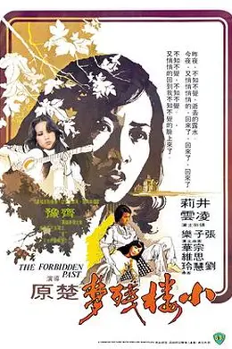 小楼残梦