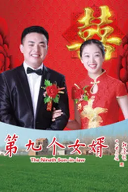 第九个女婿