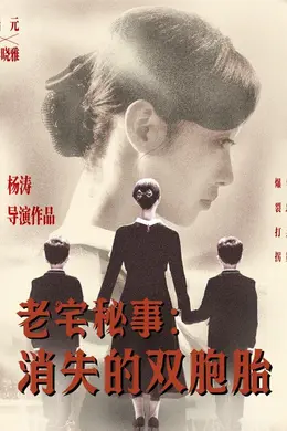 老宅秘事消失的双胞胎（消失的孩子）