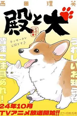 老爷与犬