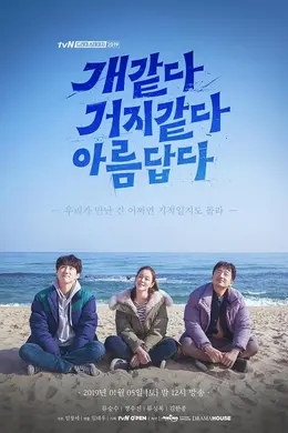 像狗像乞丐一样美丽
