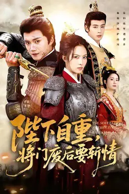 陛下自重，将门废后要斩情（卸甲斩凰途）