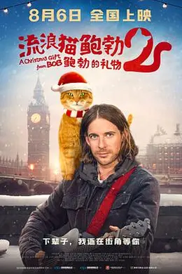 鲍勃的礼物
