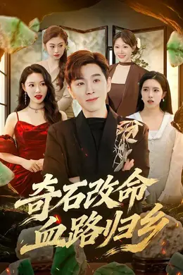 奇石改命血路归乡