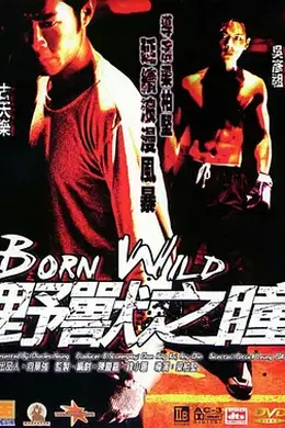 野兽之瞳粤语