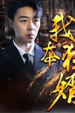 我本狂婿