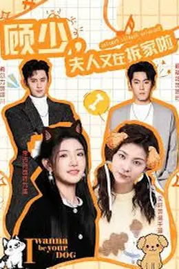顾少，夫人又在拆家啦