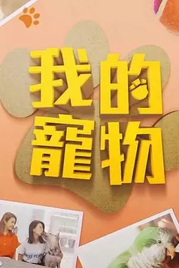 我的宠物