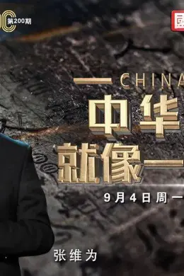 《这就是中国》200期:与张维为、王巍一同致敬生生不息的中华文明