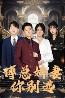 傅总娇妻你别逃