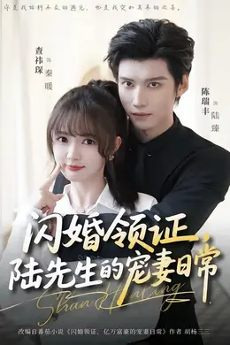 闪婚领证,陆先生的宠妻日常海报