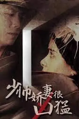 少帅娇妻很凶猛
