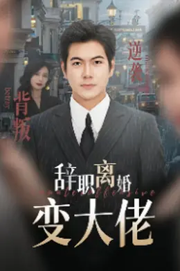 辞职离婚变大佬