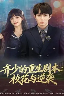 齐少的重生剧本校花与逆袭海报