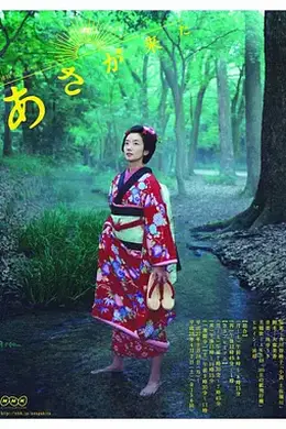 阿浅来了