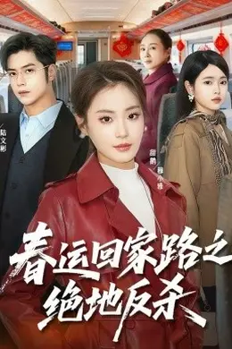 春运回家路之绝地反杀