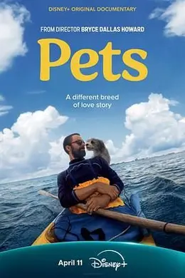 宠 Pets