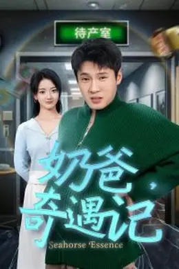 奶爸奇遇记
