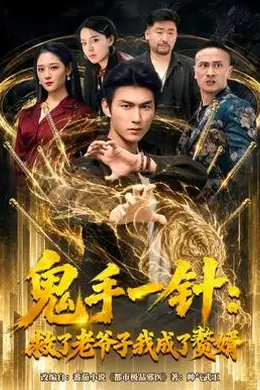 鬼手一针：救了老爷子我成了赘婿