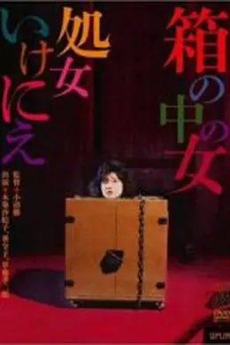 箱中女
