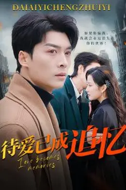 待爱已成追忆