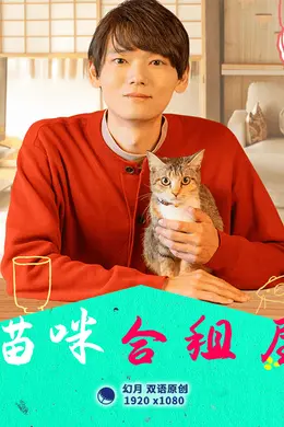 猫咪合租屋