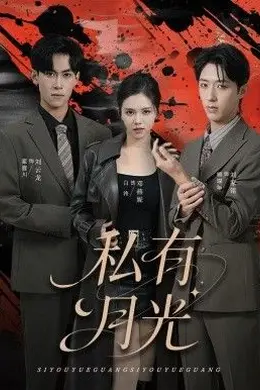 私有月光