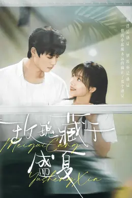 玫瑰藏于盛夏