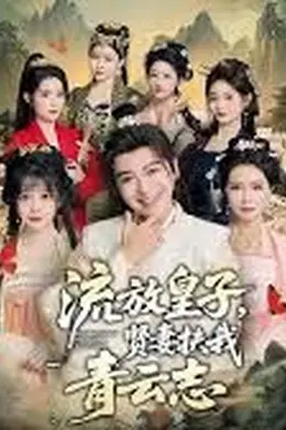 流放皇子，贤妻扶我青云志