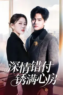 深情错付锈满心房