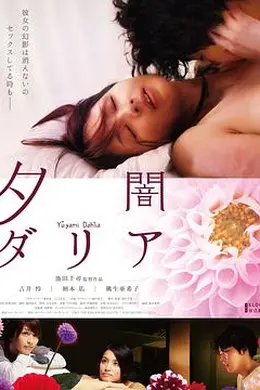 黄昏大丽花