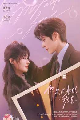 你是迟来的欢喜（2026）