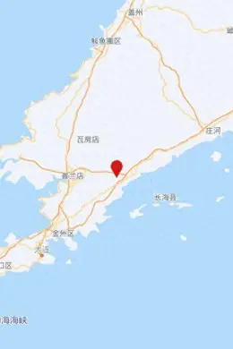辽宁大连市普兰店区发生3.7级地震,震源深度10千米
