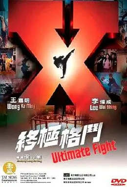 终极格斗粤语