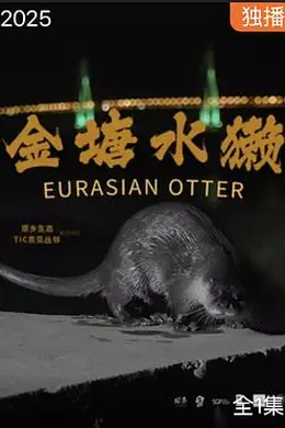 金塘水獭