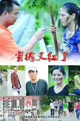 蜜橘又红了