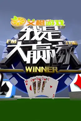 我是大赢家2012