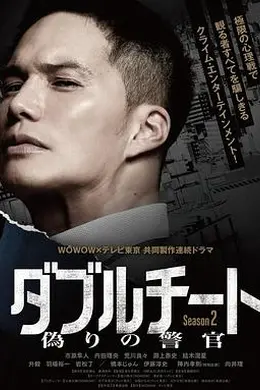 双面骗子 虚假警察第二季