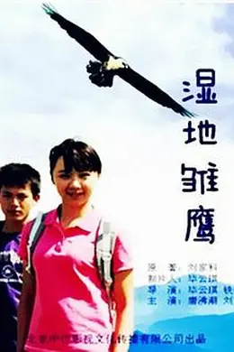 湿地雏鹰