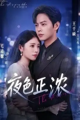 夜色正浓（2026）