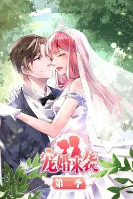 宠婚来袭第二季