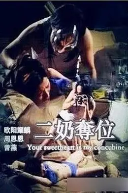 二奶夺位