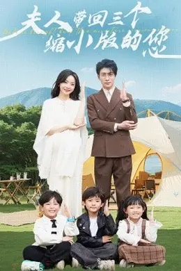 夫人带回三个缩小版的您海报