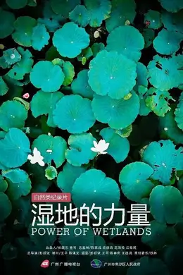 湿地的力量